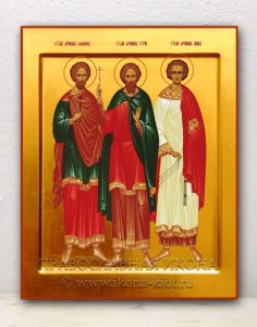 Икона «Гурий, Самон и Авив, мученики» Иркутск